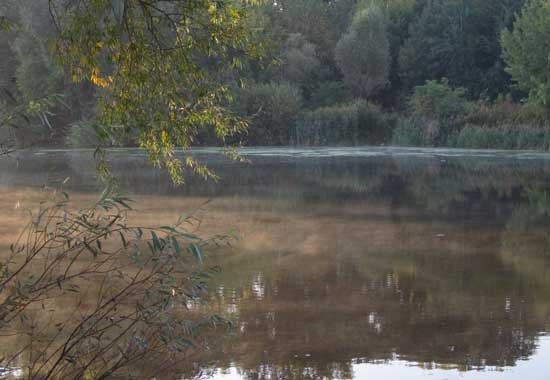 Первые лучи солнца пали на воды озера Первые лучи солнца пали на воды озера